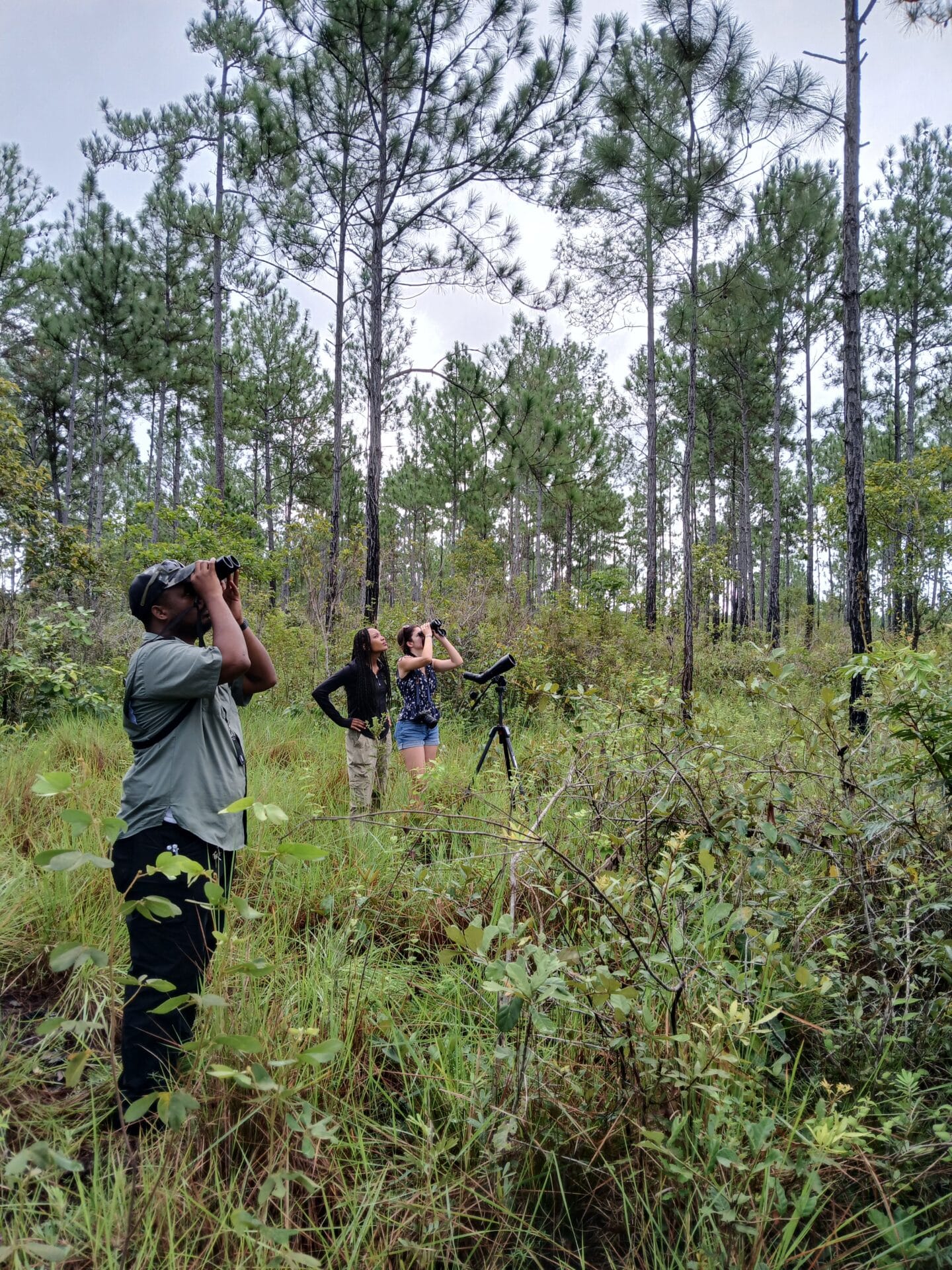 Three people with binoculars in a wooded area