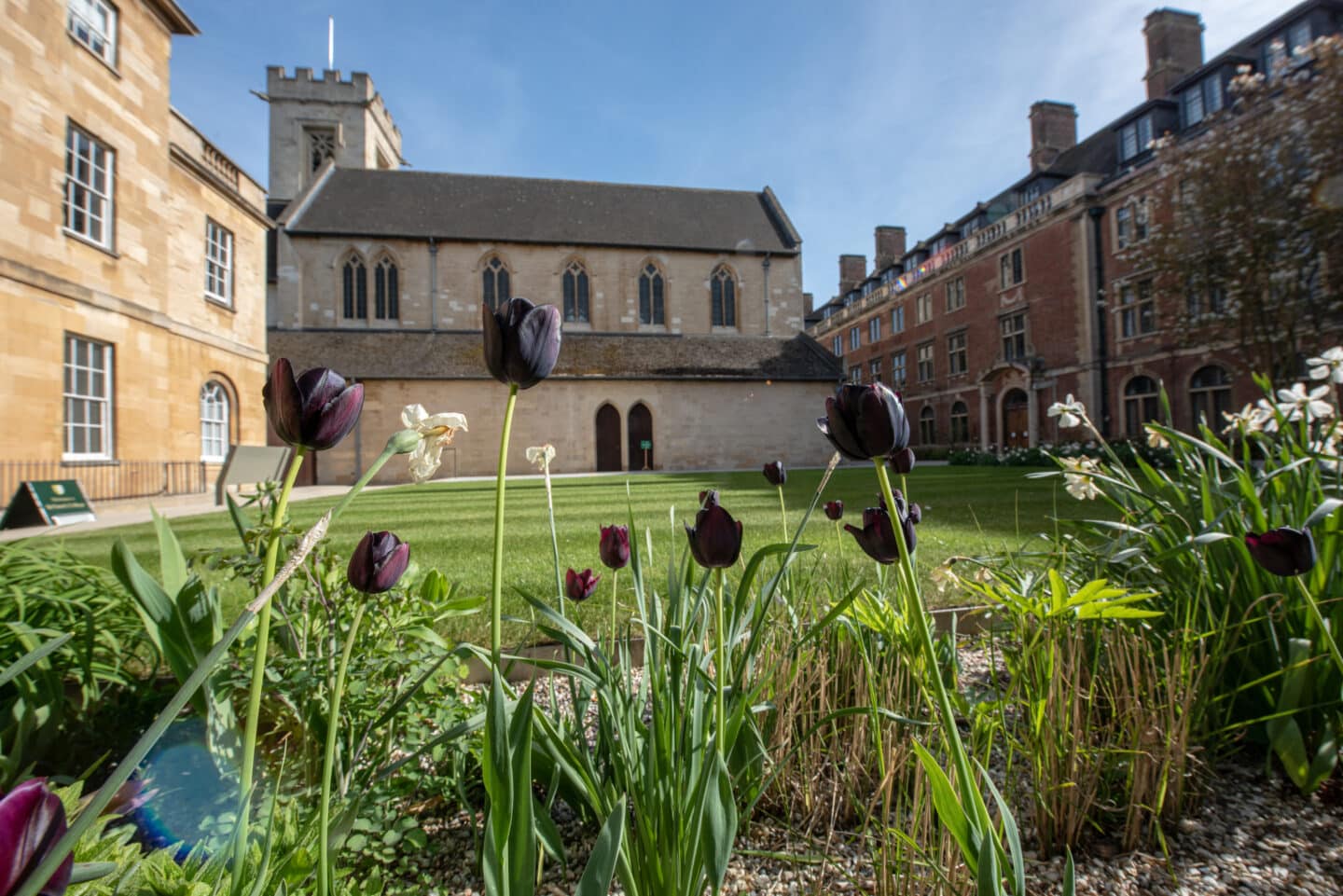 Floral borders on Linton Quad with College buildings in the background.