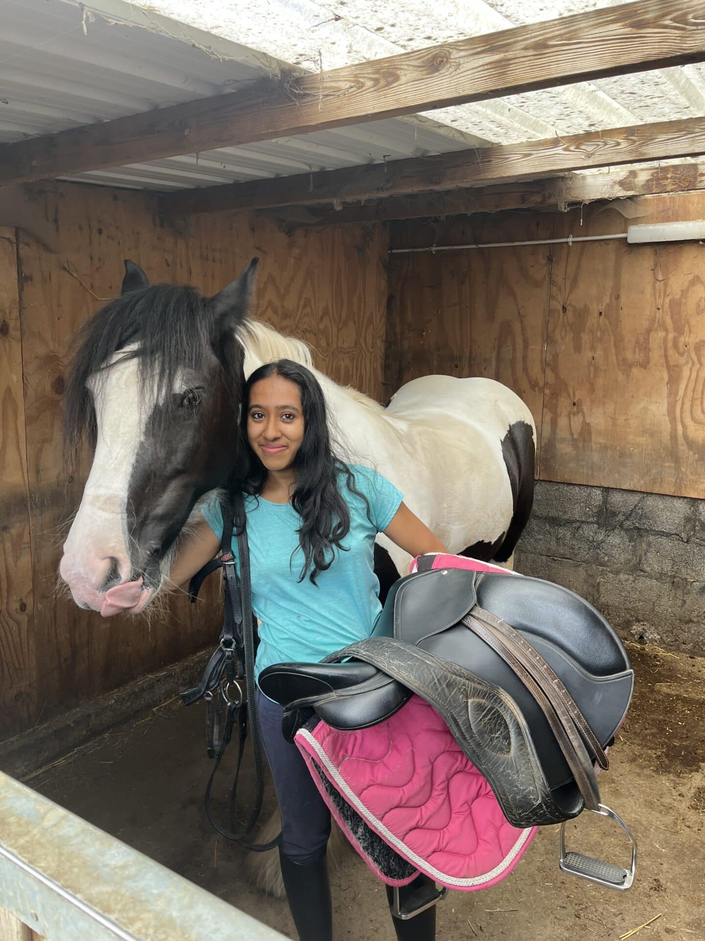 A student in a blue t-shirt next to a black and white horse
