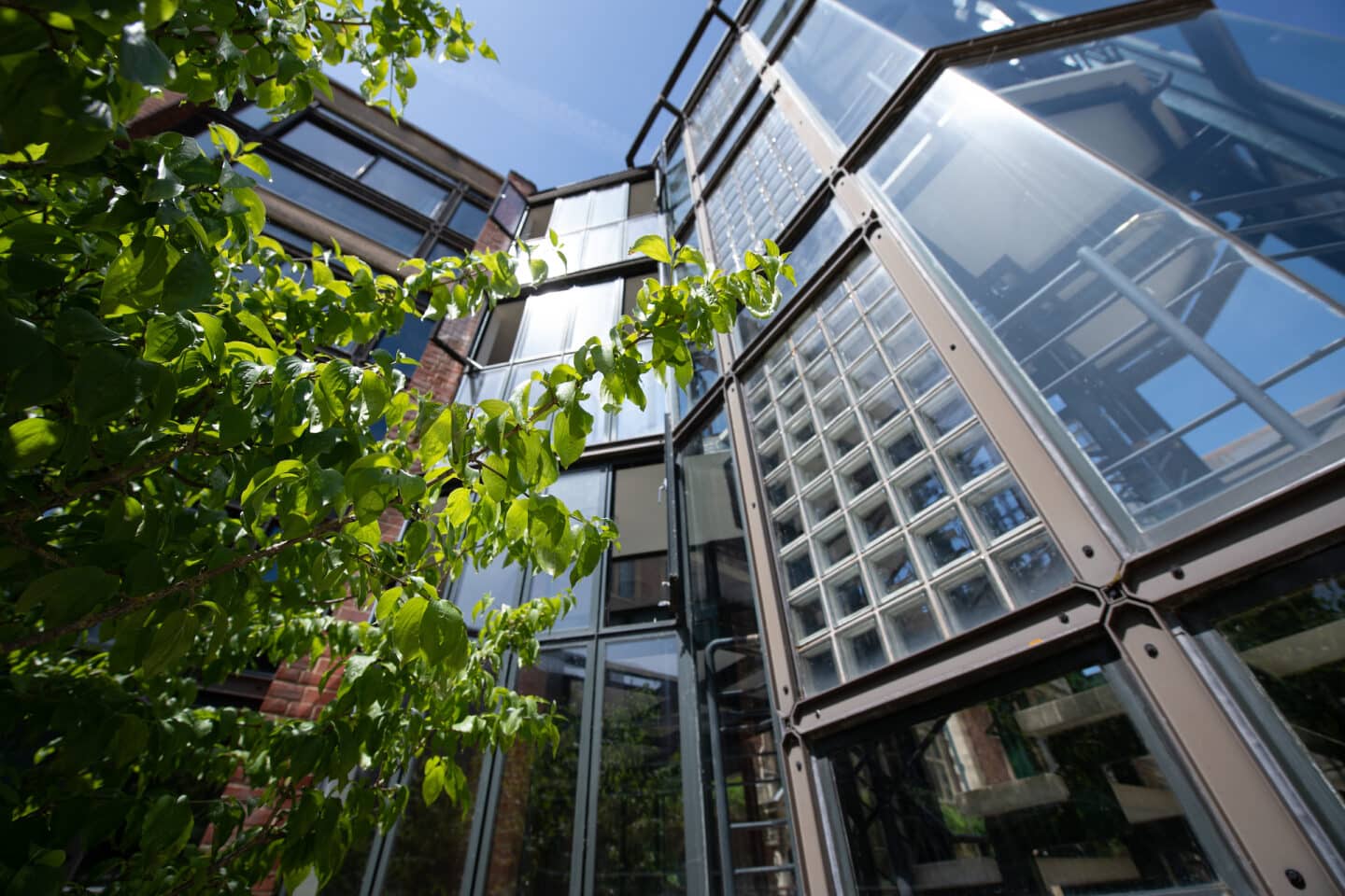 a building with large steel-framed glass windows.