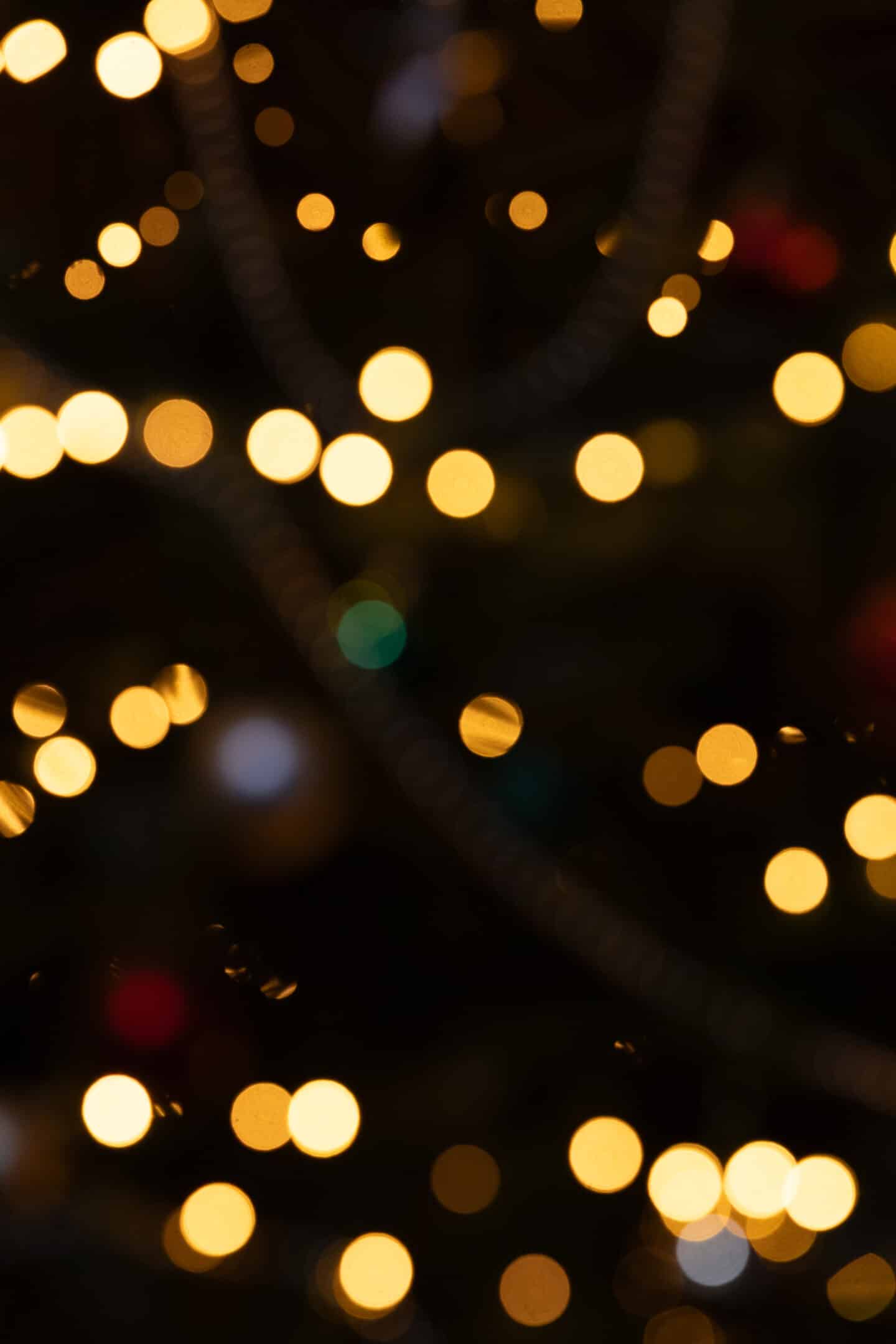 blurry photo of Christmas lights