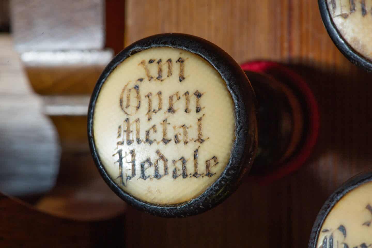 detail image of an organ