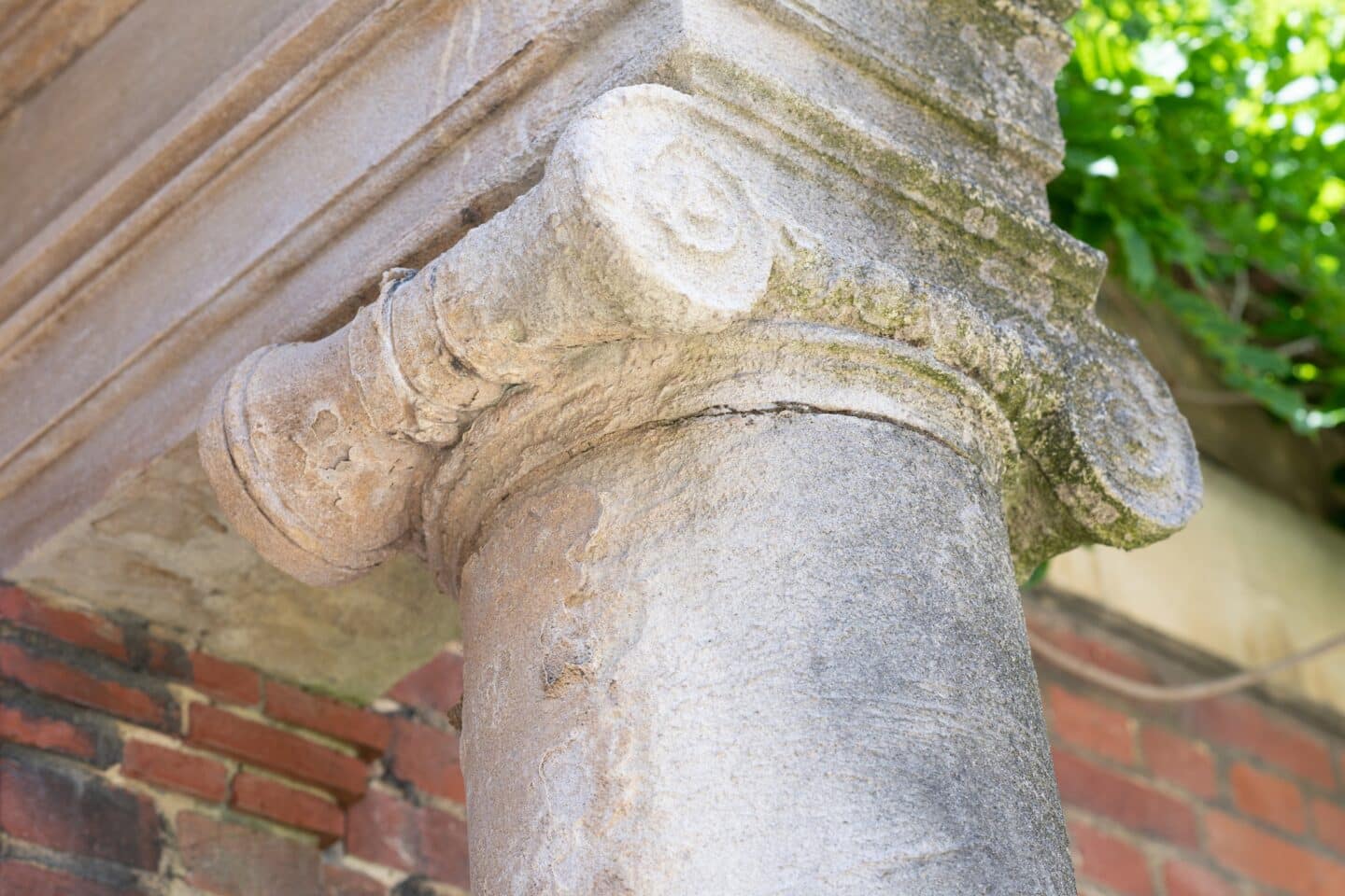 building detail of an ionic column