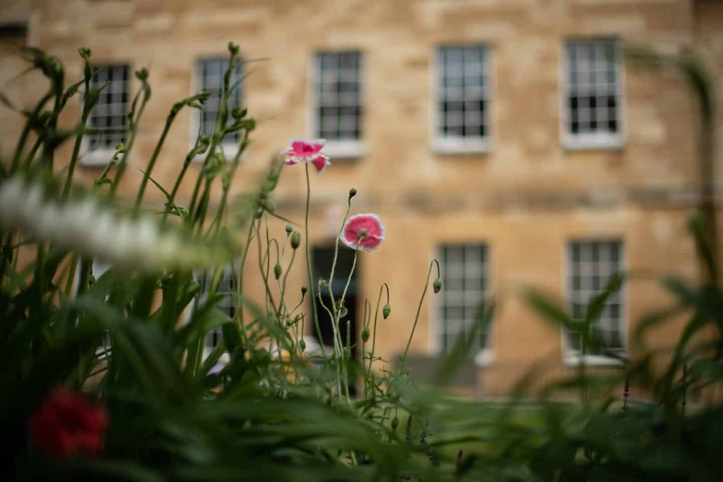 a garden with poppies outside a stone building